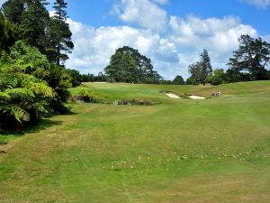 Titirangi 8th Fern